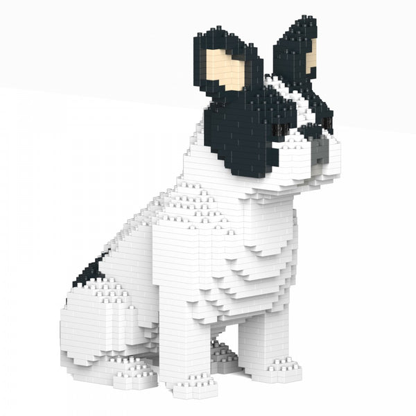 Bulldog Francês de montar em blocos