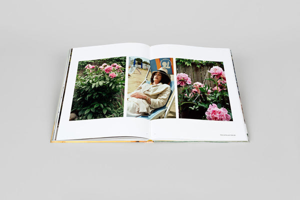 Livro Suzy Lake
