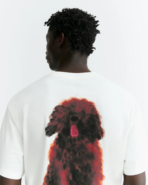 T-SHIRT PET