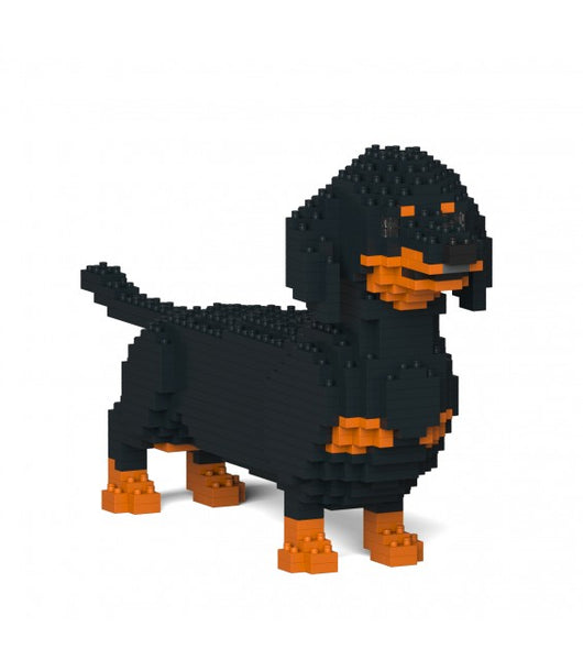 Dachshund  de montar em blocos