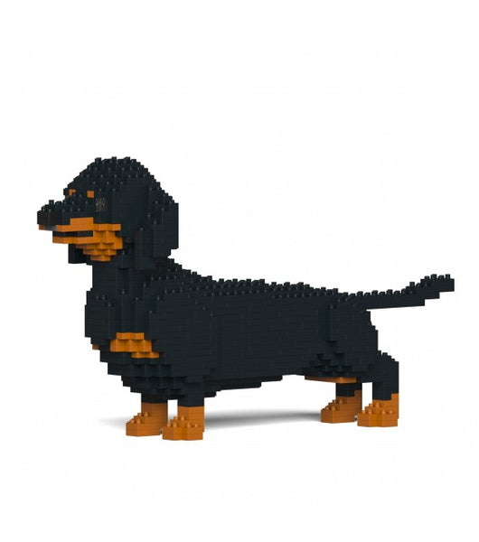 Dachshund  de montar em blocos