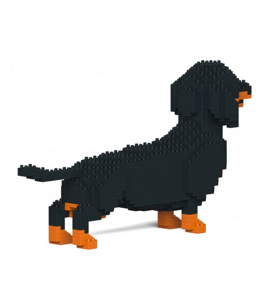 Dachshund  de montar em blocos