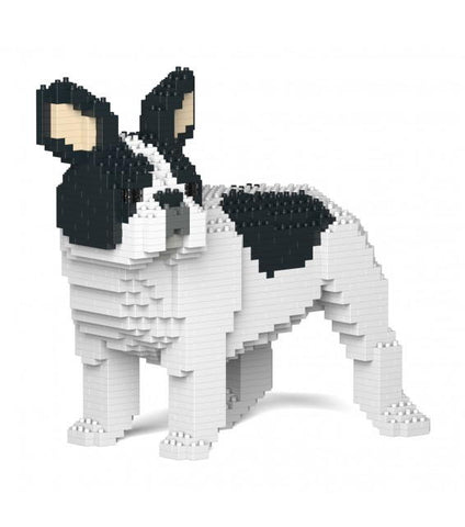 French Bulldog de montar em blocos